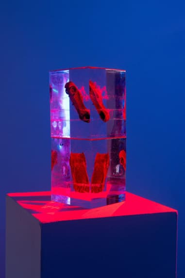 Daniel Michalik, Untitled
